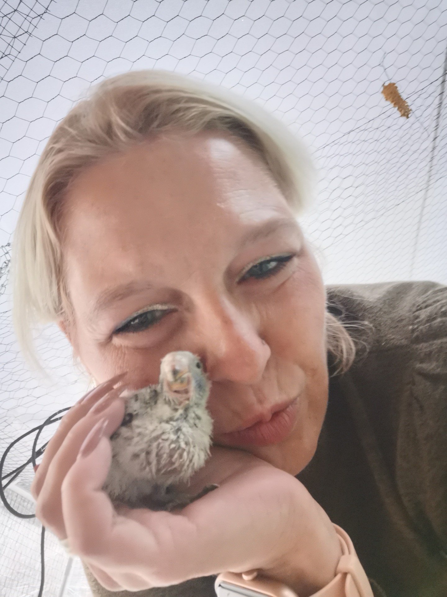 Bild 8 aus der Federn-Werkstatt